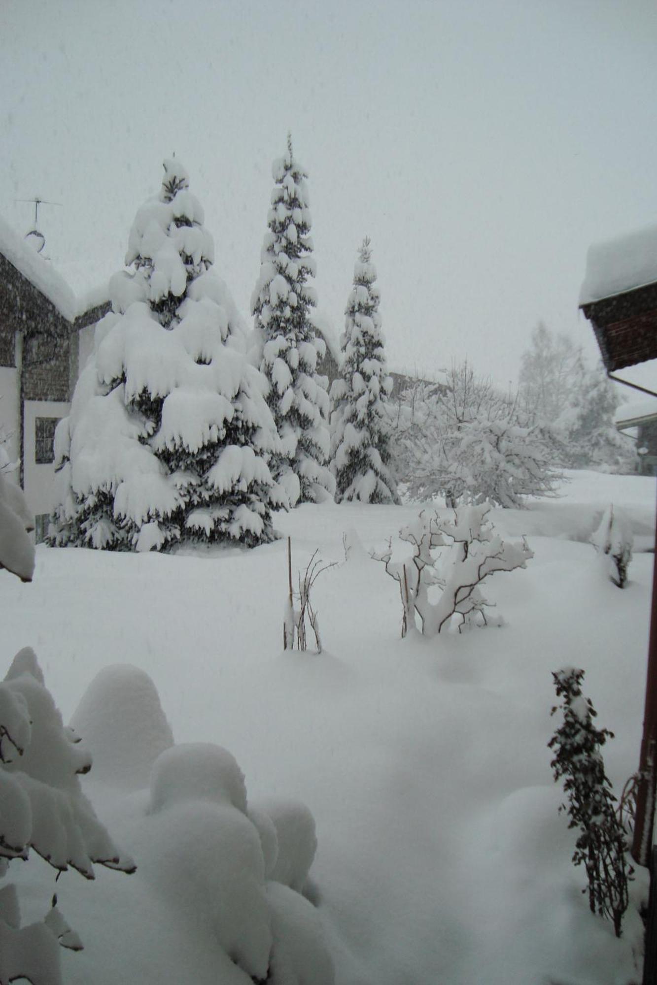 Landhaus Bachler Brixen im Thale Exterior foto